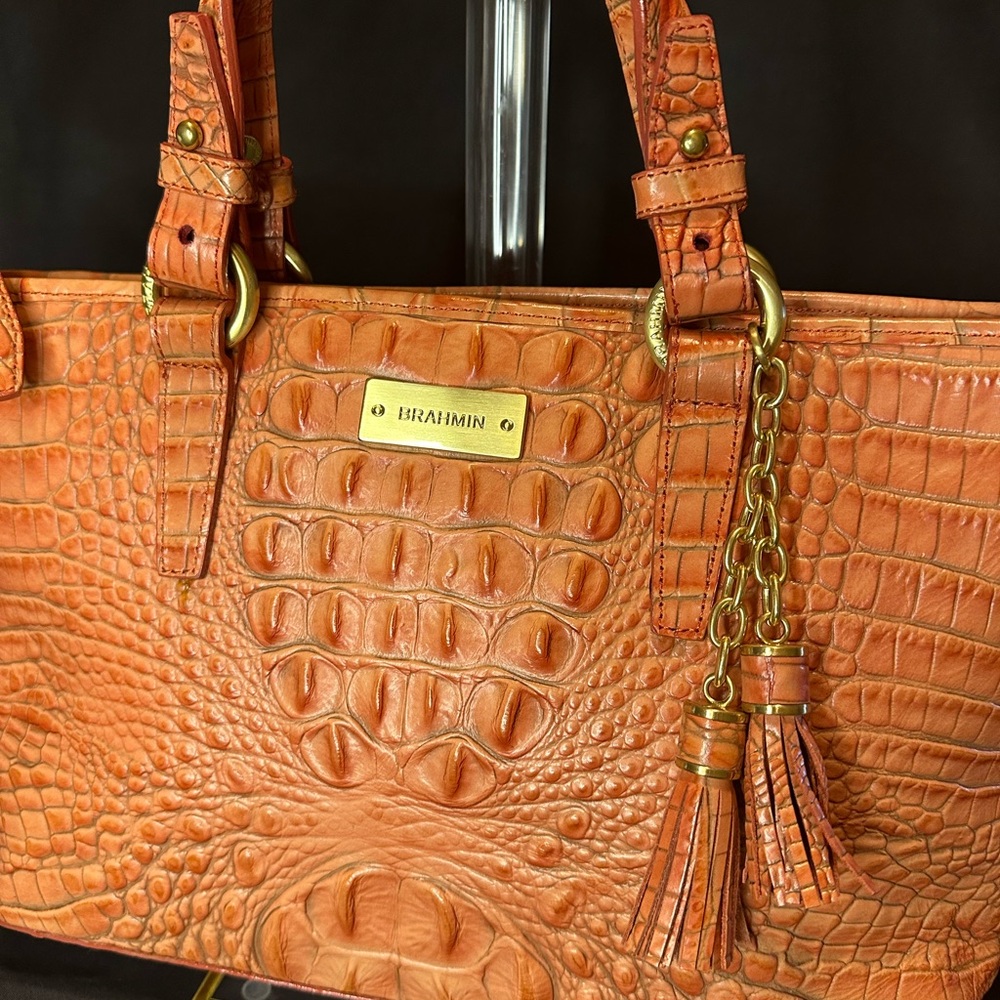 Brahmin Vintage Mini Asher Tulle Coral Melbourne RARE - Picture 2 of 10